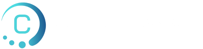 Codevant Solutions - Web Development, AI Automation & Digital Transformation Agency